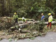 Tropical Storm Zeta Causes Historic Damage in Cobb
