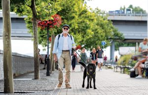 A High Quality of Life, Despite Having Low Vision A front view of senior blind man with guide dog walking outdoors in city.