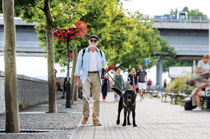 A High Quality of Life, Despite Having Low Vision A front view of senior blind man with guide dog walking outdoors in city.