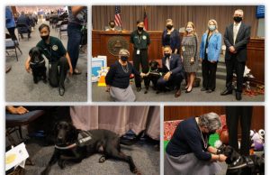 Cobb DA Welcomes New Service Dog ‘Rose’ Cobb District Attorney’s Office