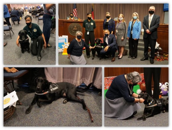 Cobb DA Welcomes New Service Dog ‘Rose’ Cobb District Attorney’s Office