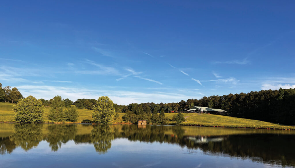 Wiley Creek Duck Preserve
