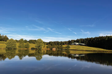 Wiley Creek Duck Preserve