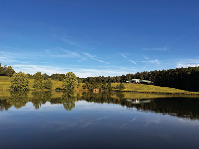 Waterfowling Wiley Creek Duck Preserve