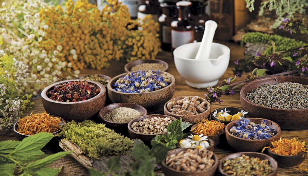 Herbs, berries and flowers with mortar, on wooden table backgrou