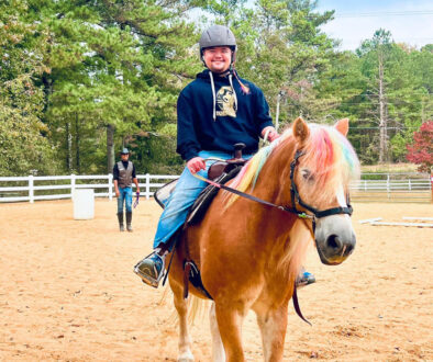 Hippotherapy — a therapy method that incorporates the movement of a horse to improve motor and sensory functions of the rider.