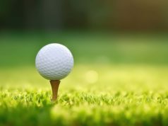 Take A Swing At Networking Golf ball on green grass ready to be shot into the hole