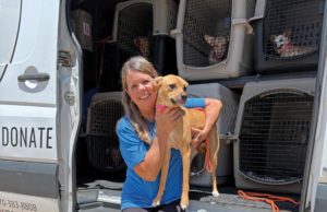 Top Volunteer Opportunities For You And Your Business Mostly Mutts