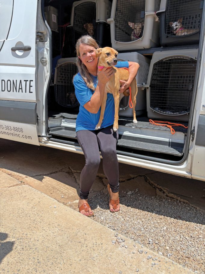 Top Volunteer Opportunities For You And Your Business Mostly Mutts