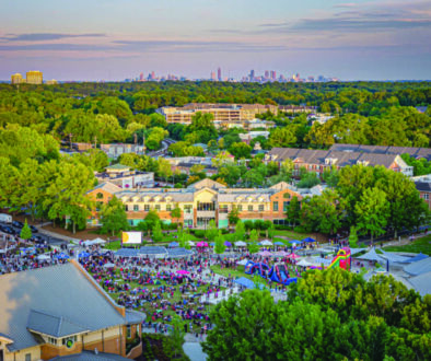 Smyrna Village Green copy